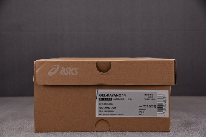 ASICS sneaker 1201A019-112