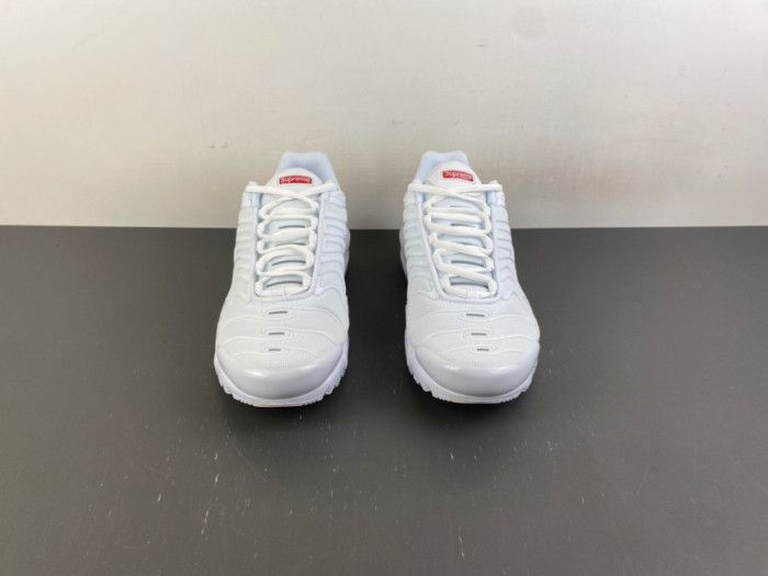 Nike Air Max Plus TN 