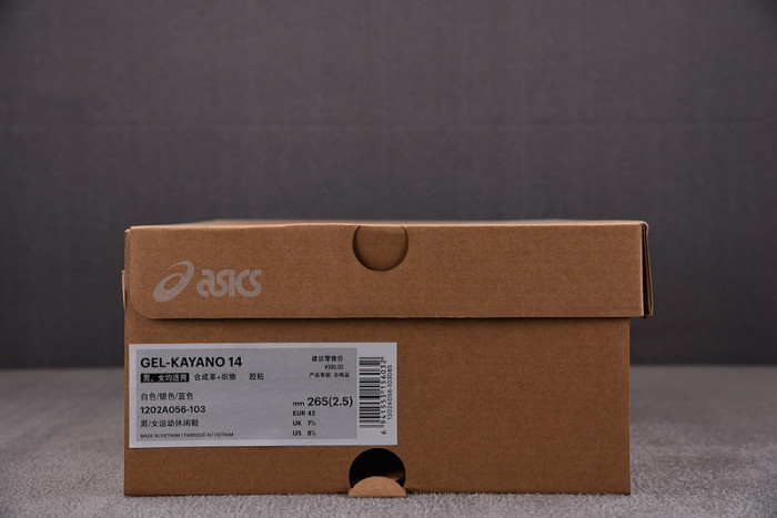 ASICS sneaker 1201A019-114