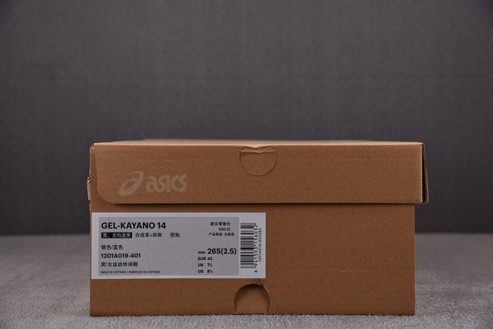 ASICS sneaker 1201A019-113