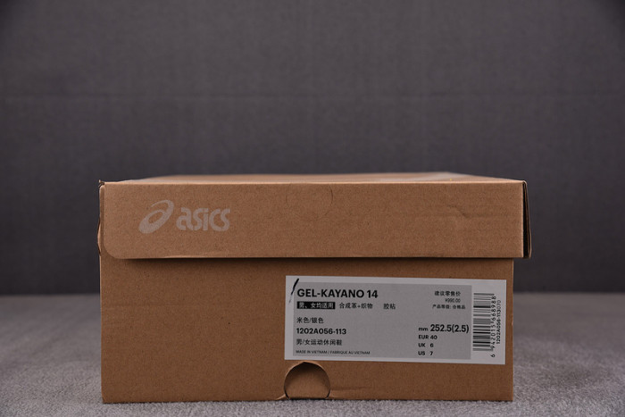 ASICS sneaker 1201A019-118