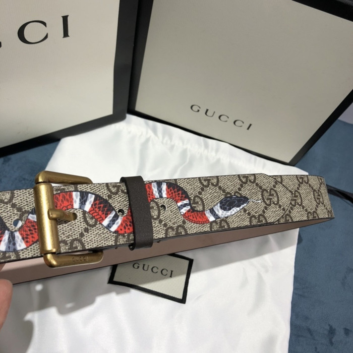 Gv*c* belt Gu 13