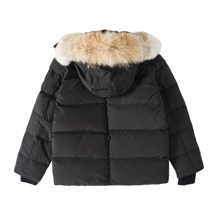 Canada G00SE JACKET CG41