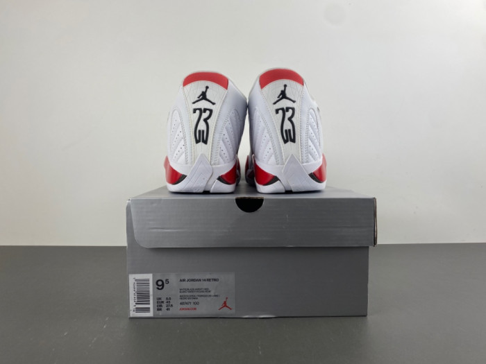 Air Jordan 14 Retro Rip Hamilton 487471-100