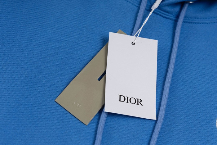 D1OR HOODIE DR56